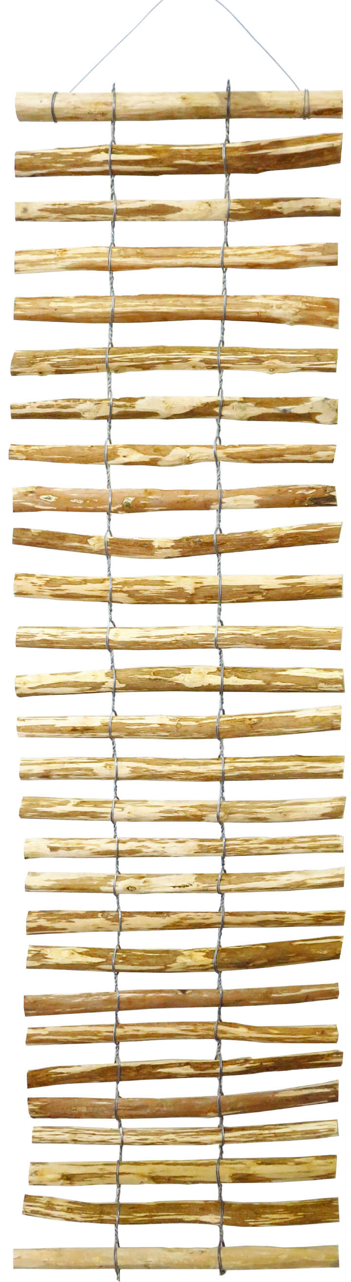 dobar Rankgitter-Spalier Haselnuss